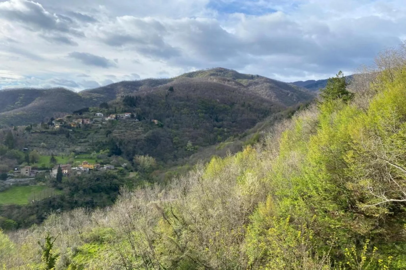 Il Ciliegio-Areas within 20km in summer
