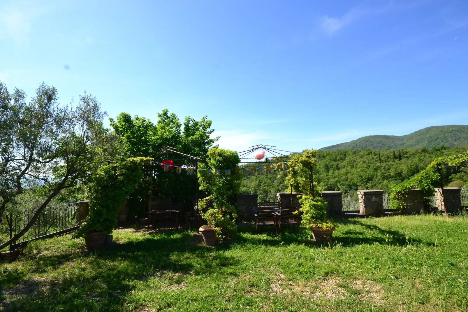 Trebbiano-Gardens in summer