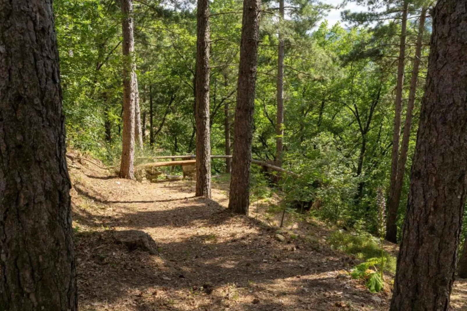 Villa Vivai-Gebiete Sommer 20 km