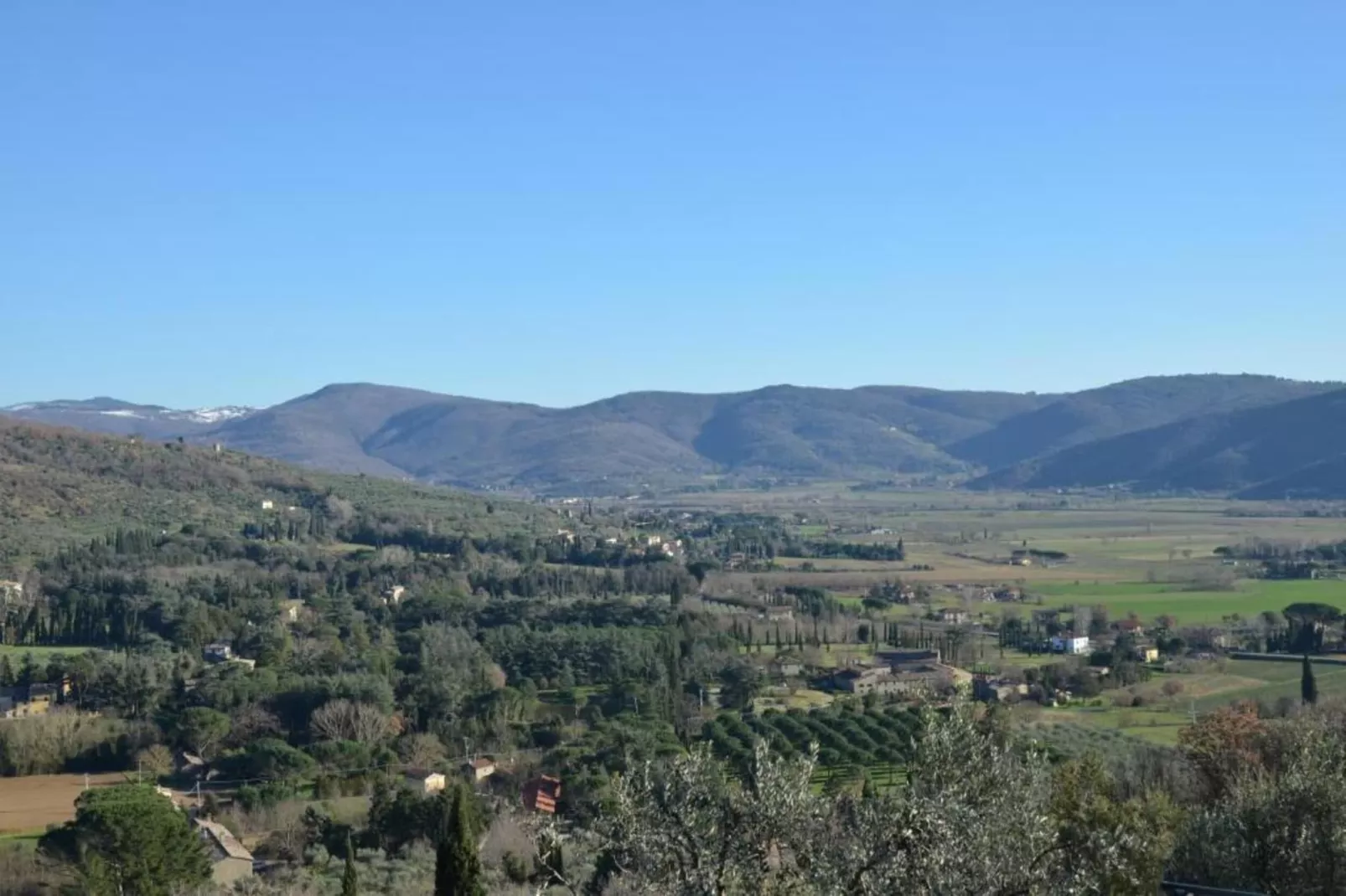 Cipresso-Areas within 20km in summer