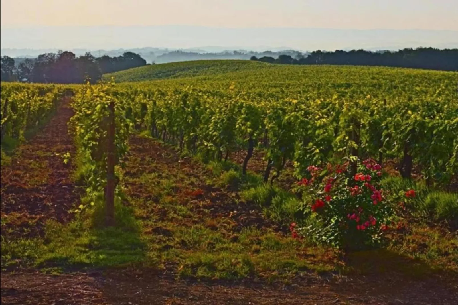 Casa Gioia-Gebiete Sommer 20 km