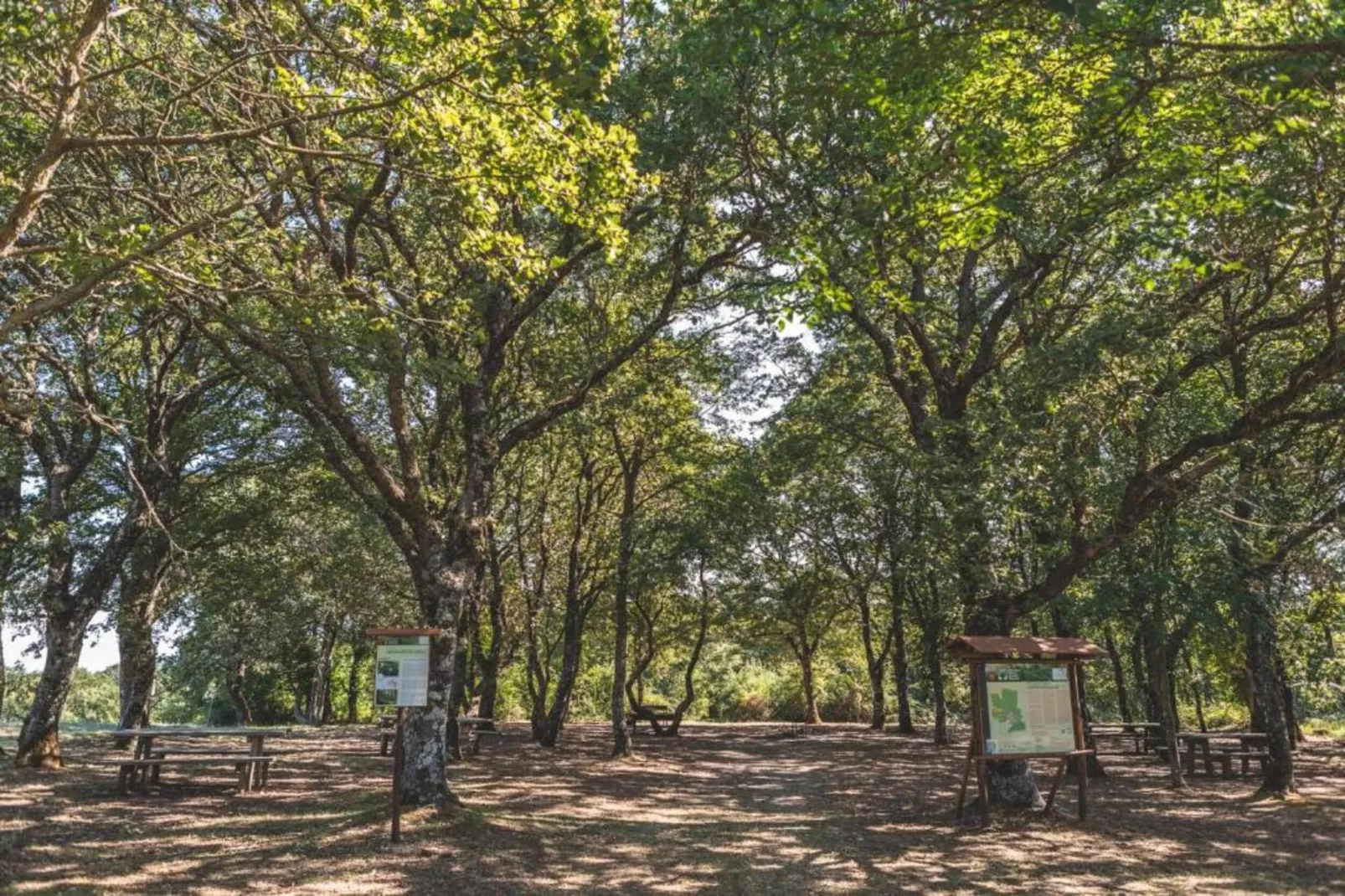 Tarugi-Gebiete Sommer 5 km