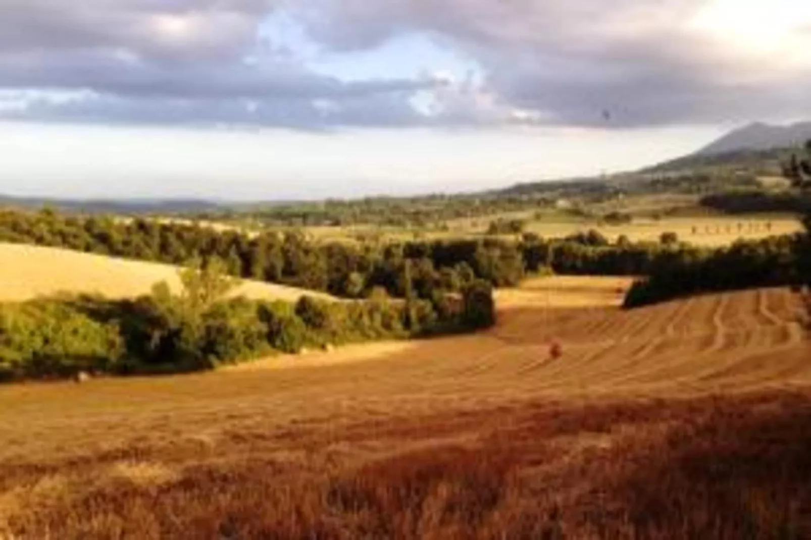 Poggio Casale-Areas within 20km in summer