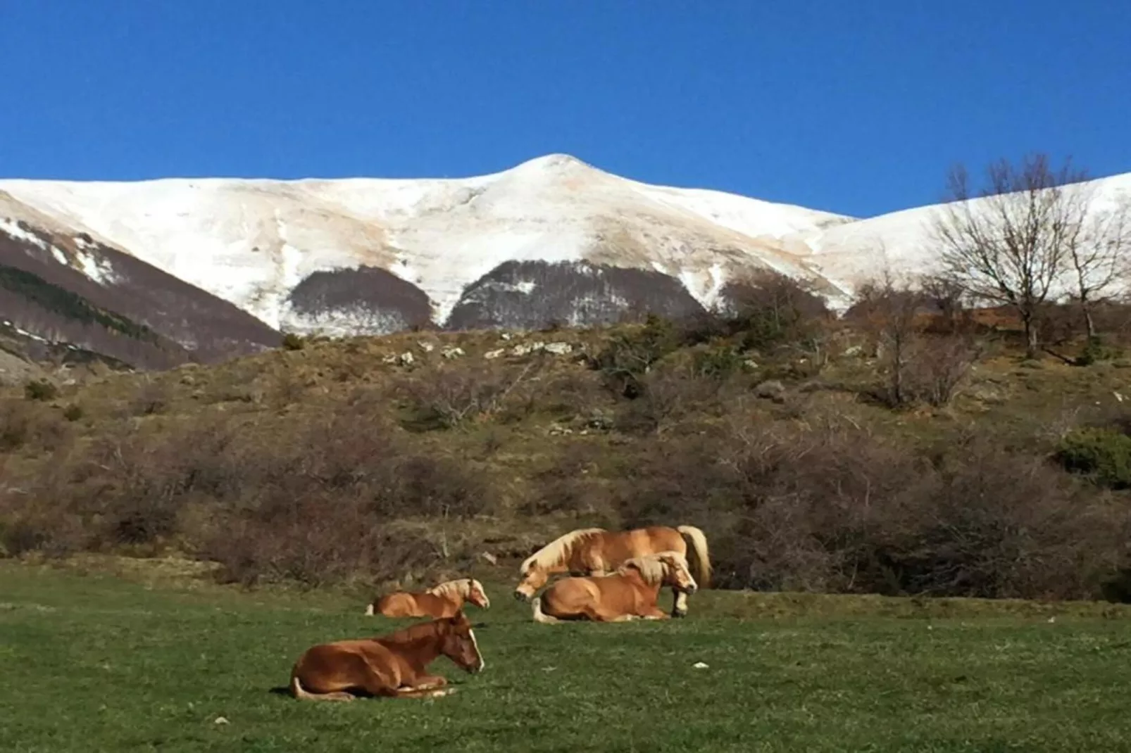 Renzo-Areas within 20km in summer