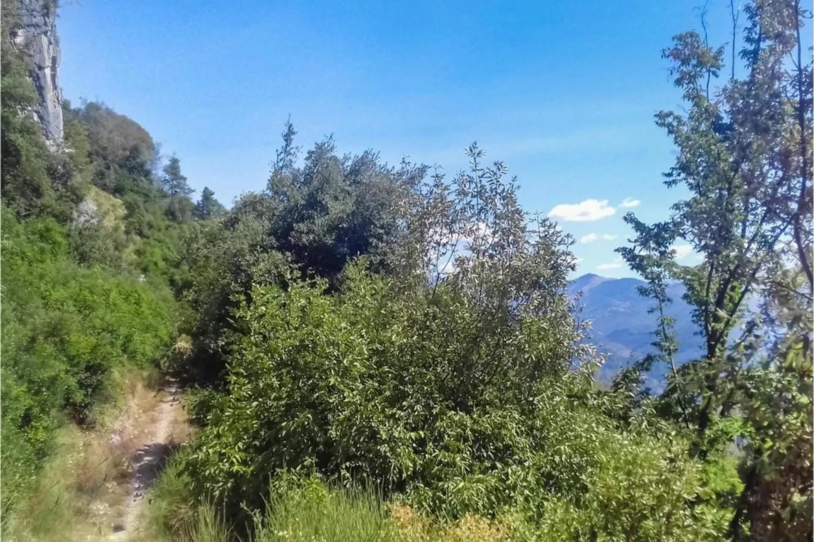 Gelsomino Piccolo-Areas within 5km in summer