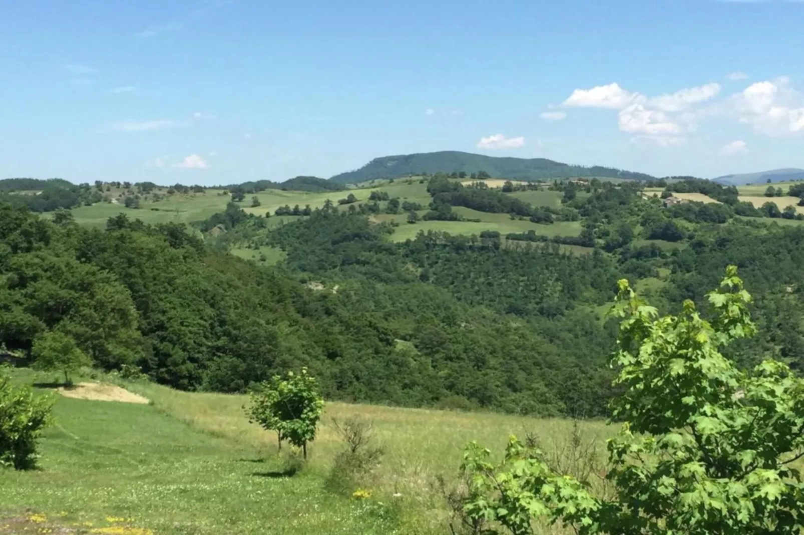 Cucciolo-Areas within 20km in summer