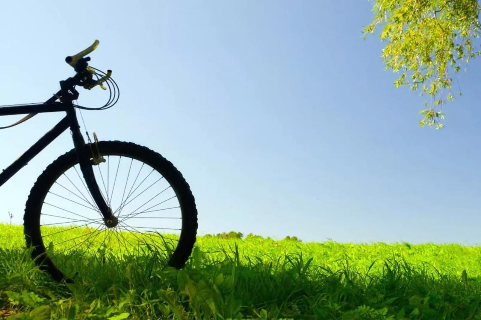 Tenuta San Francesco 3-Gebiete Sommer 20 km