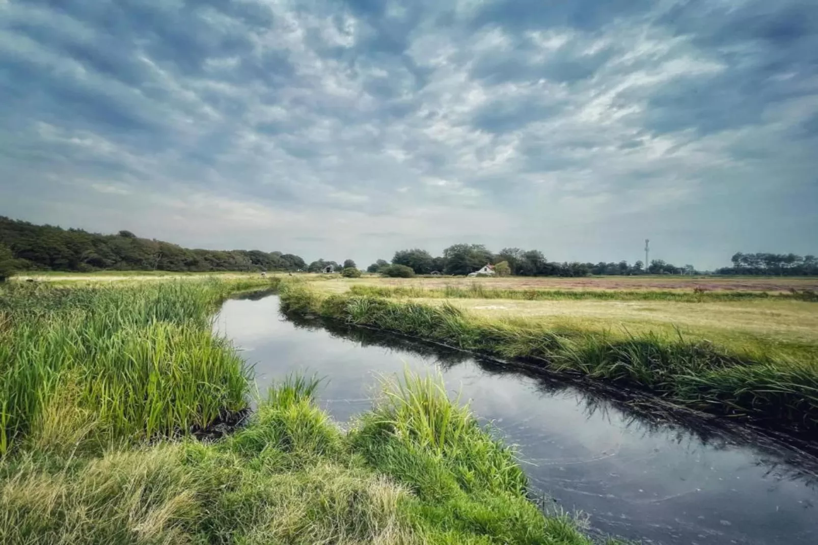 Het Schilderhuijs-Areas within 20km in summer