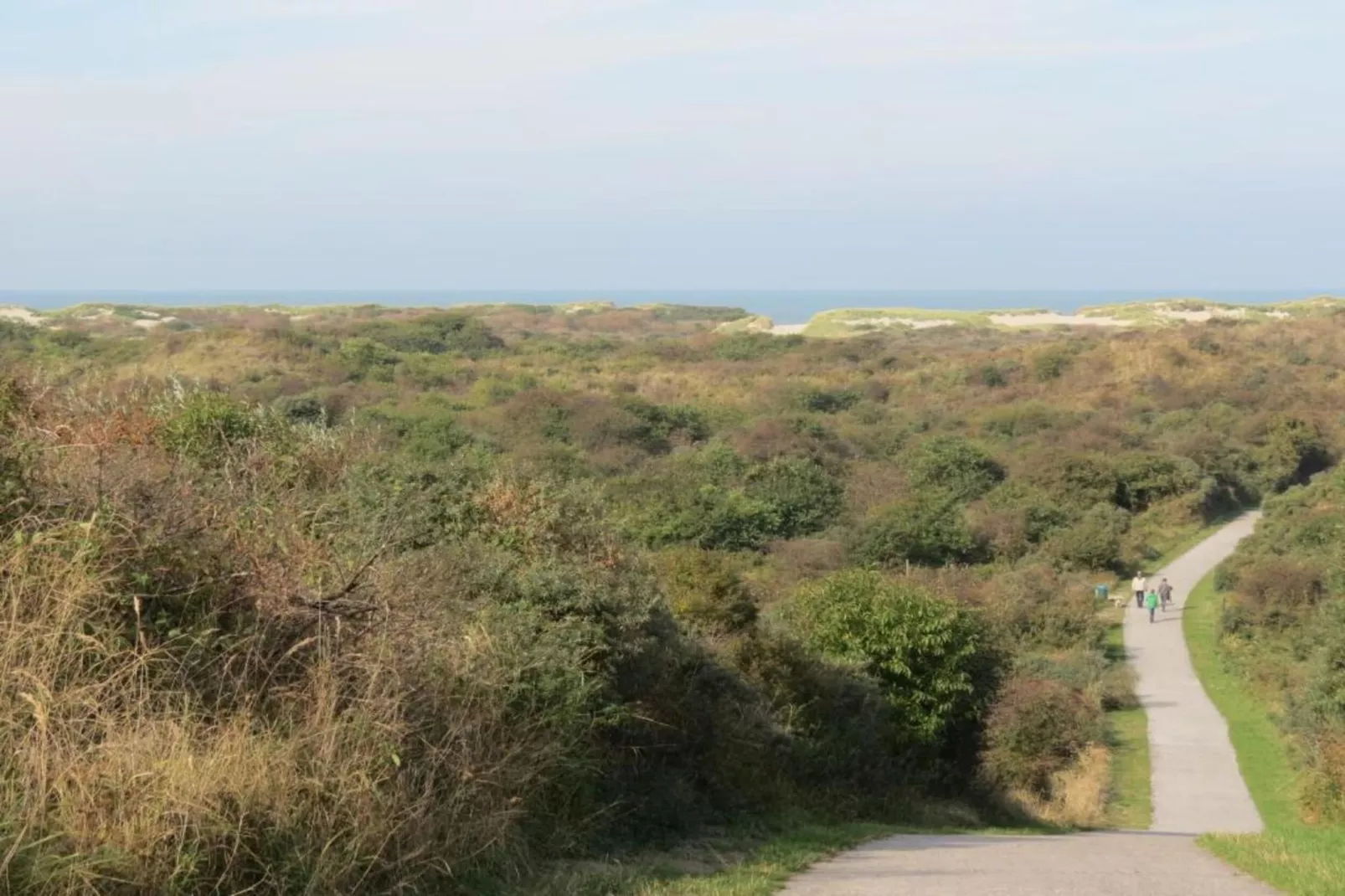 Jan van Renesseweg 1 - 2 pers-Areas within 20km in summer