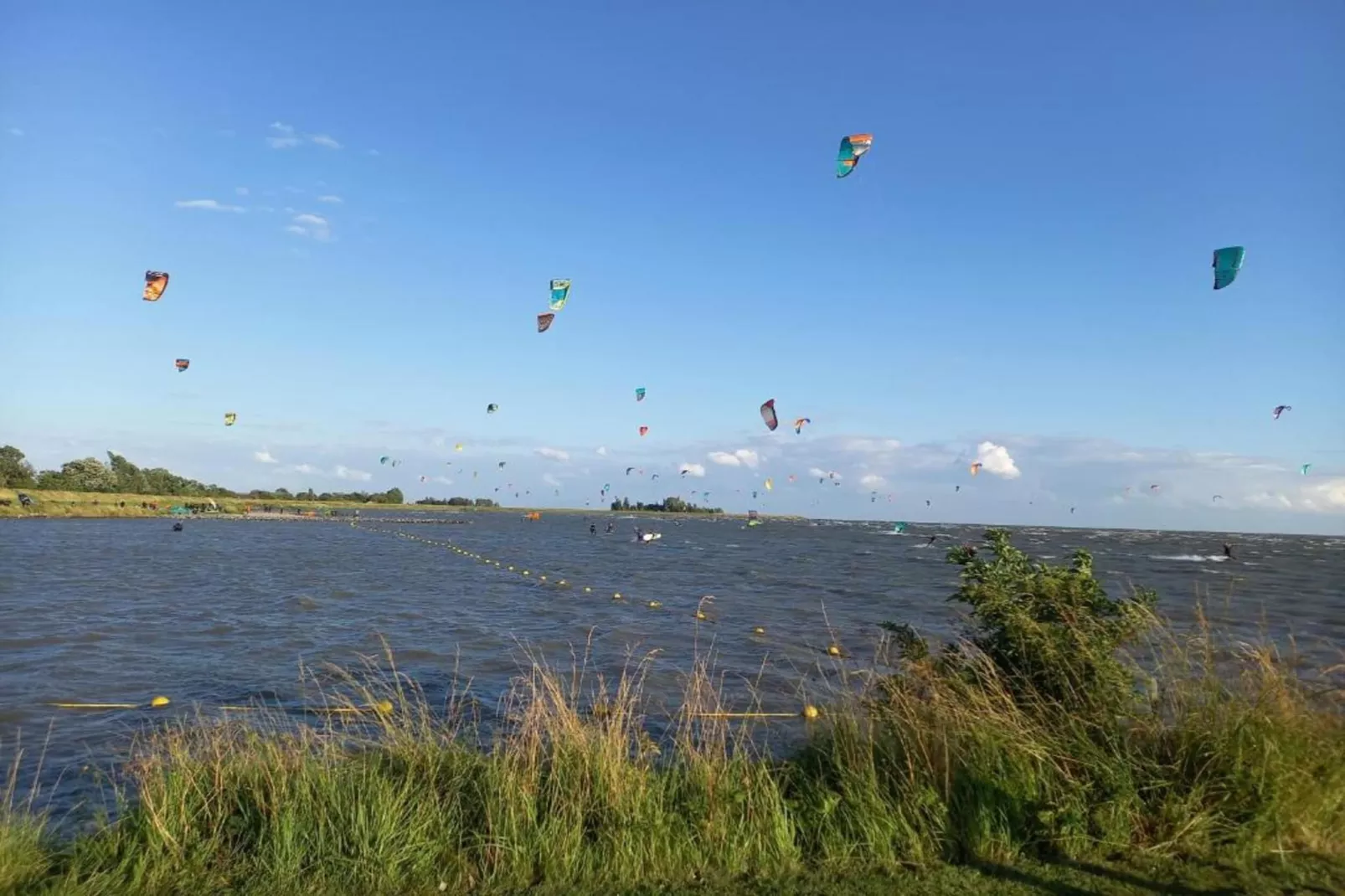 Park Wijdenes 4-Areas within 20km in summer