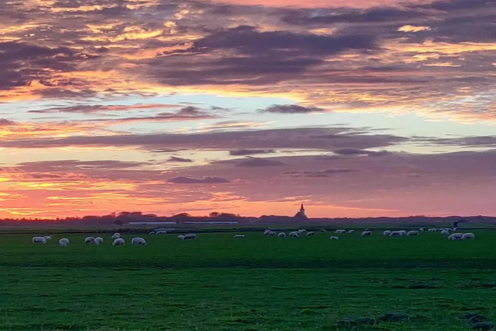 Kustpark Texel 3-Gebiete Sommer 20 km