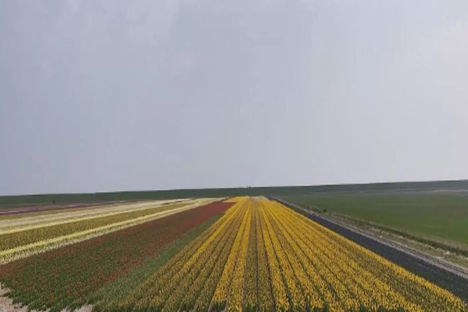 Kustpark Texel 2-Gebiete Sommer 20 km