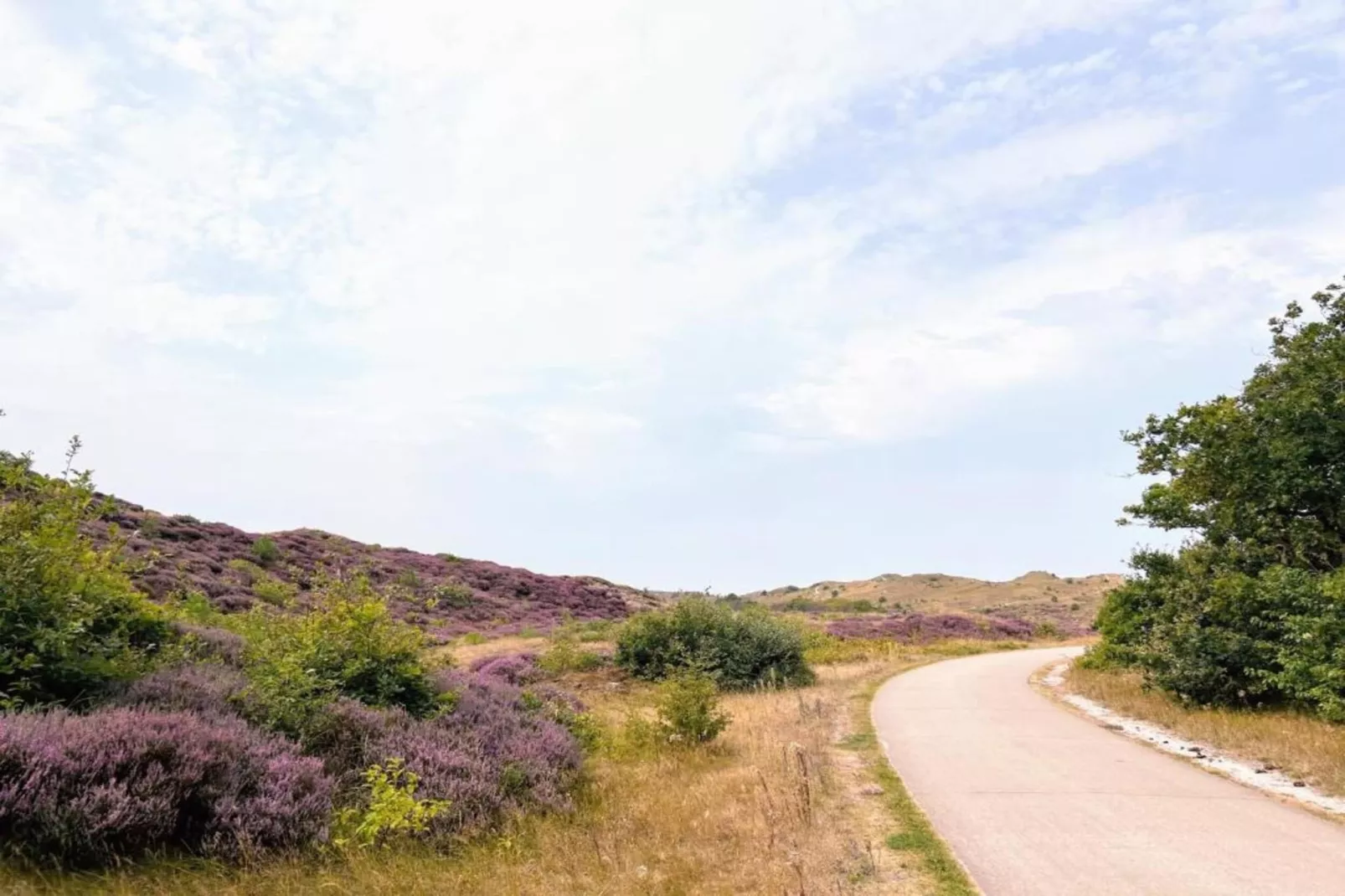 DE PETTEN-Gebiete Sommer 20 km