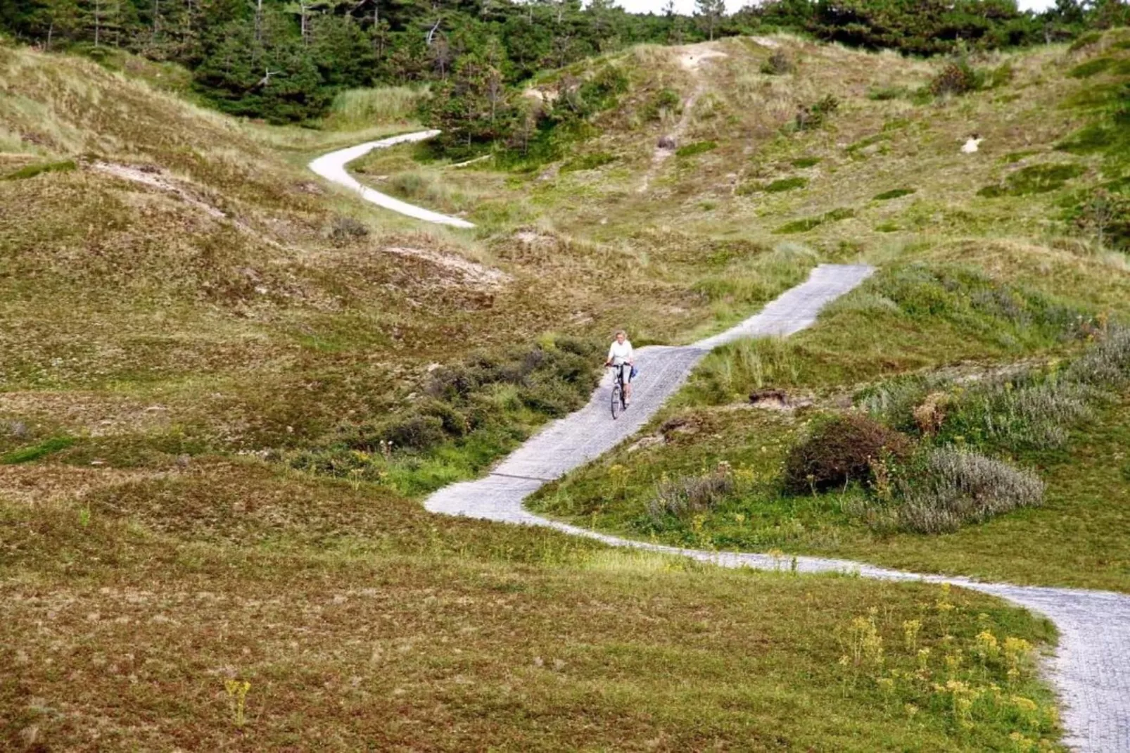 Villapark De Koog 2-Areas within 20km in summer