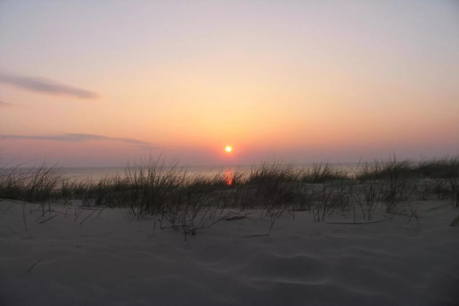 Kustpark Egmond aan Zee 4-Areas within 20km in summer