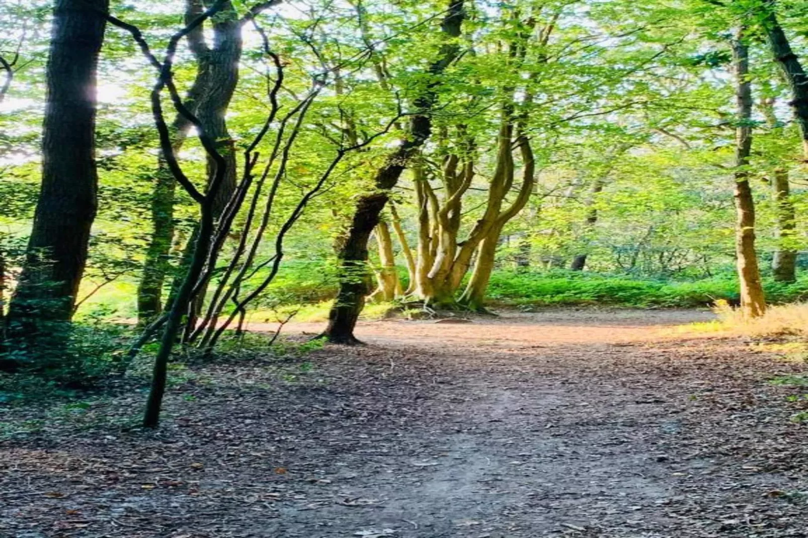Het Roefje-Areas within 20km in summer