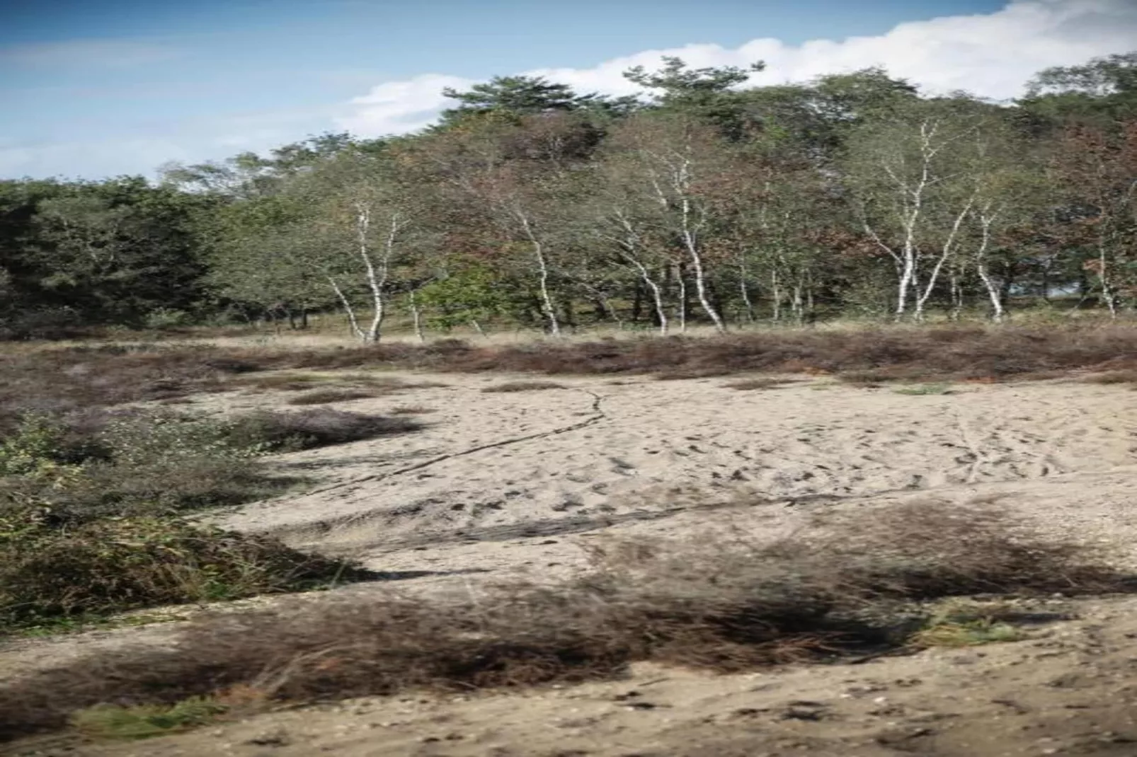 Chalet 'Bosanemoon'-Areas within 20km in summer