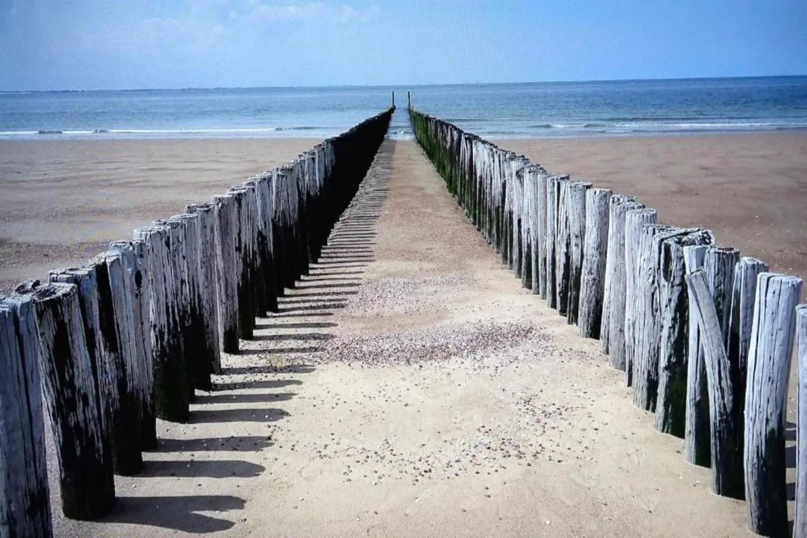 Noordzee Résidence Dishoek 3-Areas within 5km in summer