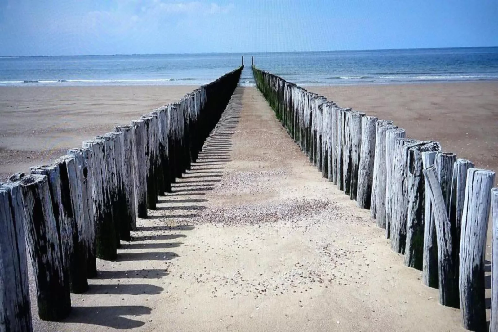 Noordzee Résidence Dishoek 5-Gebiete Sommer 5 km