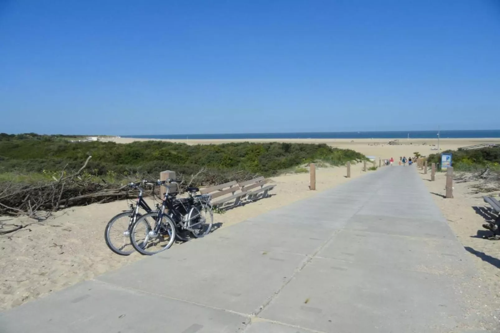 Domein het Camperveer Veerse Meer 3-Areas within 5km in summer