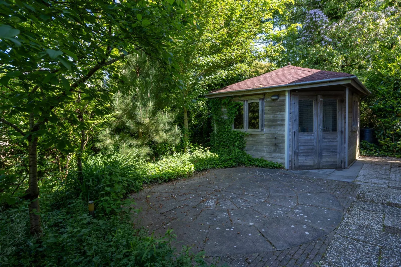 Wilgenlaan 1-Exterior in summer