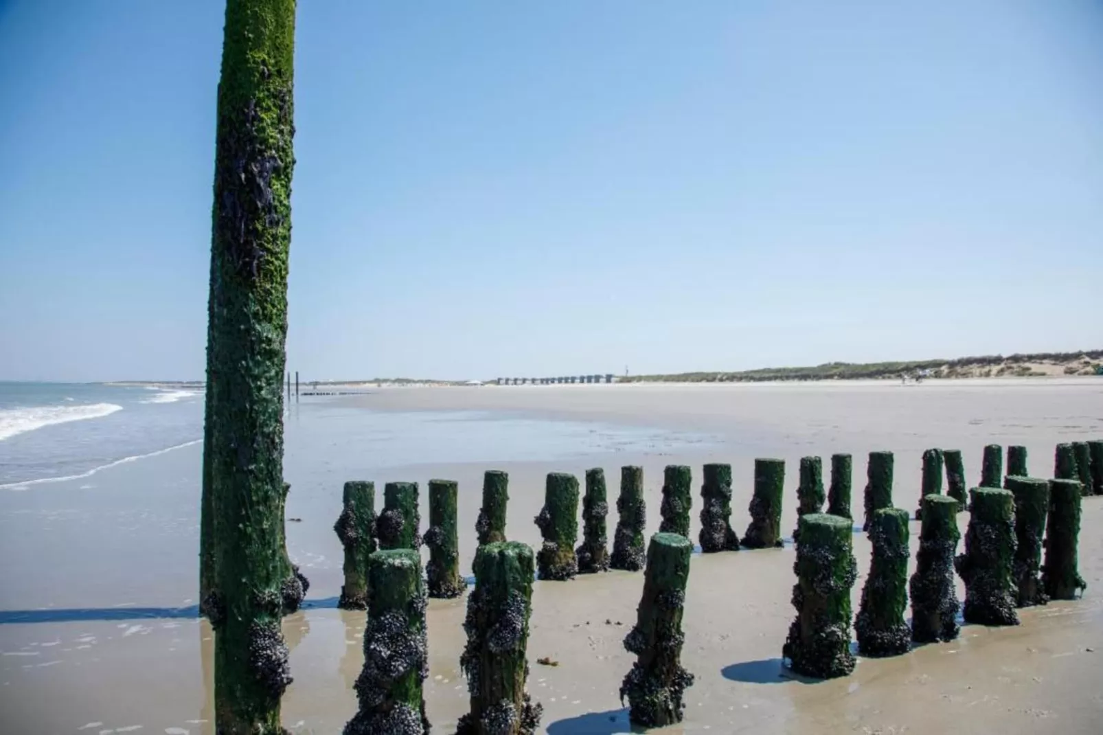 Beach Resort Nieuwvliet-Bad 7-Areas within 20km in summer