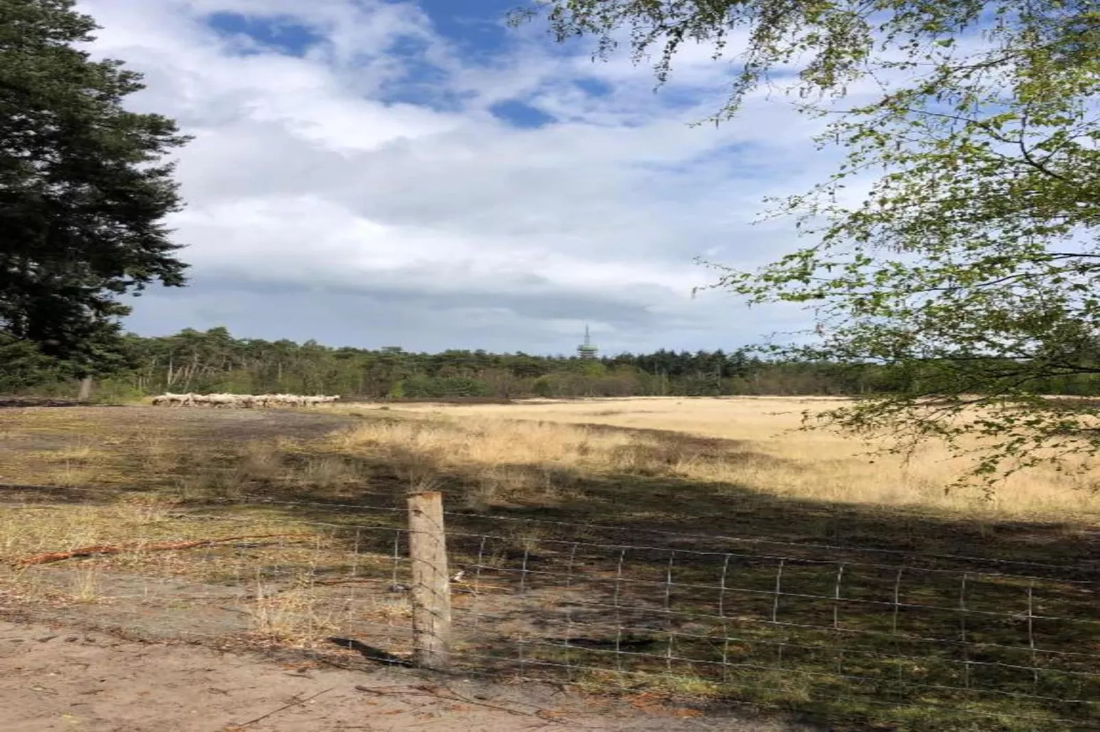 Bospark 't Wolfsven 17-Areas within 5km in summer