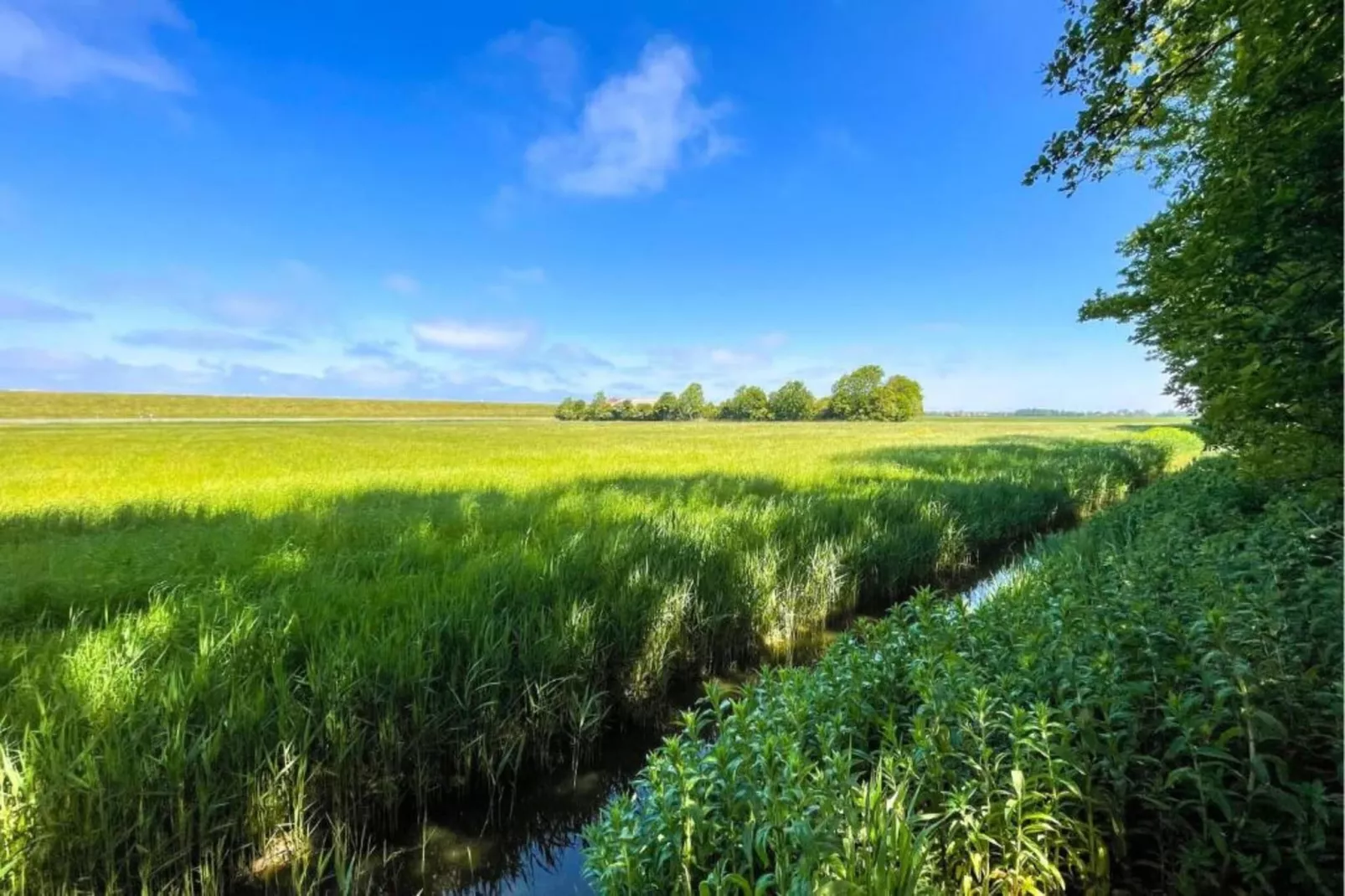 Landhuis Wad Anders-Areas within 20km in summer
