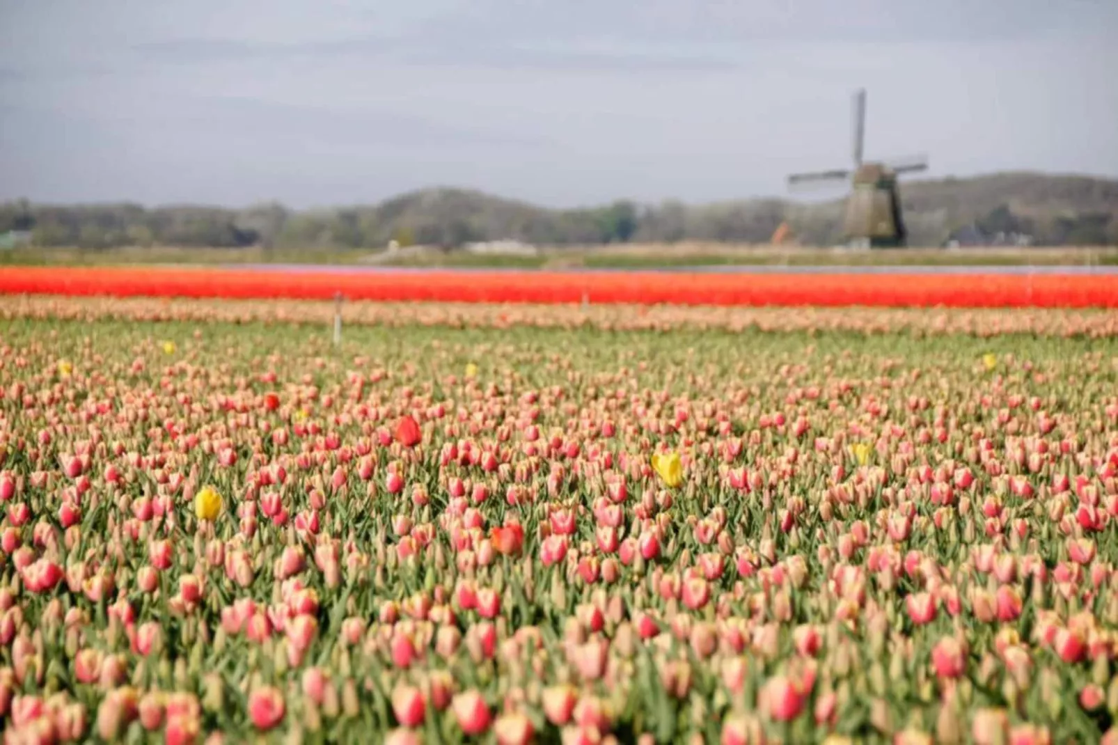 Hof van Craeck I-Areas within 20km in summer