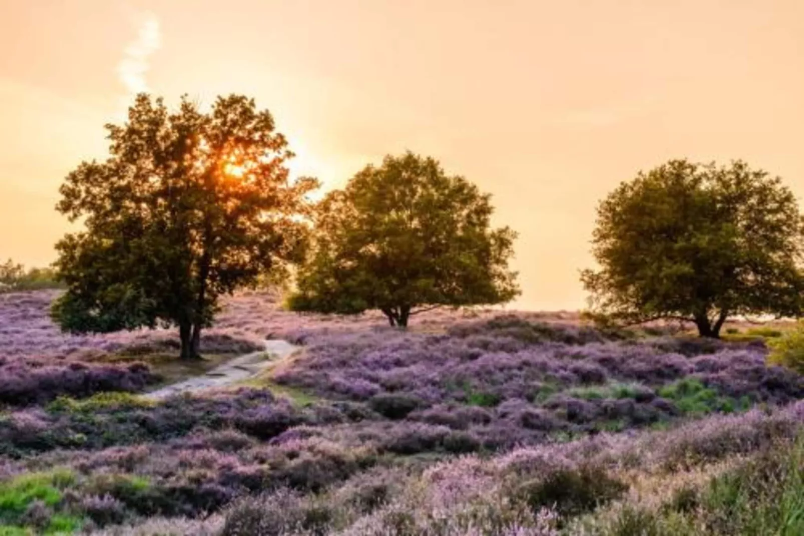 Vakantie bij Meeussen - Schuttersoord 2-Areas within 20km in summer