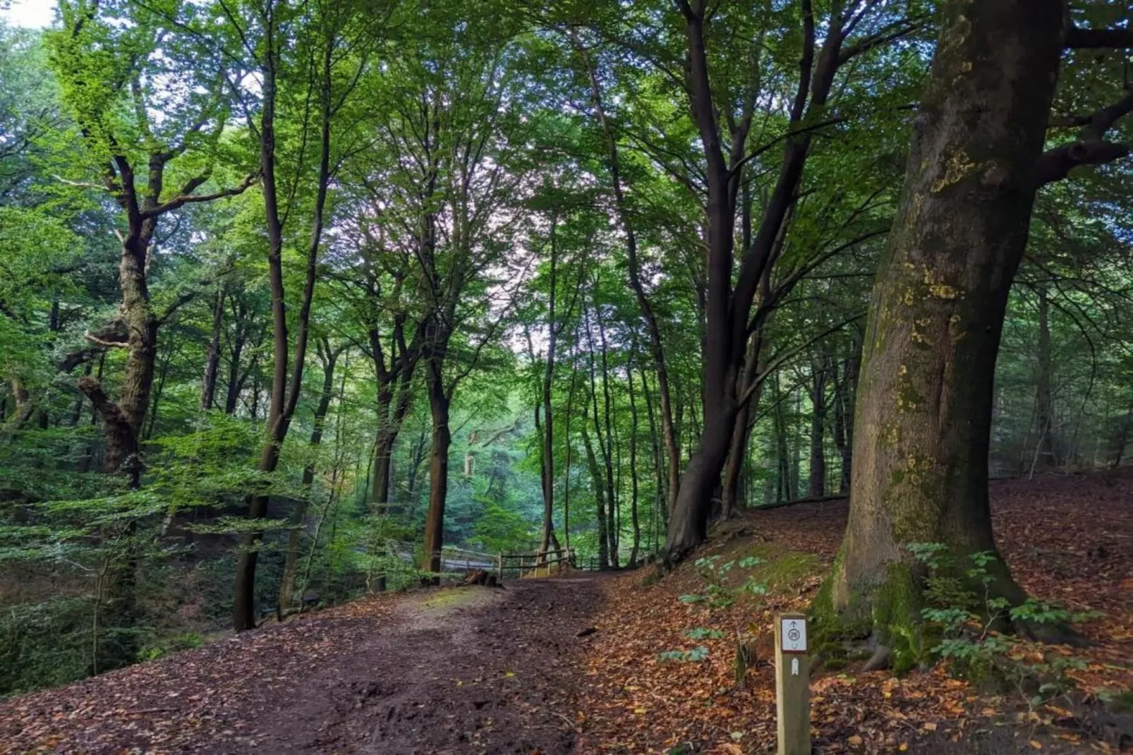 De Riethorst 1-Areas within 20km in summer