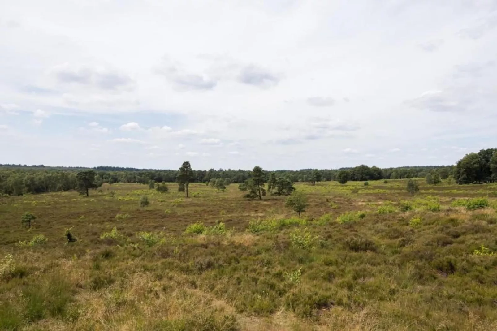 Bungalowpark Hoenderloo 1-Areas within 20km in summer