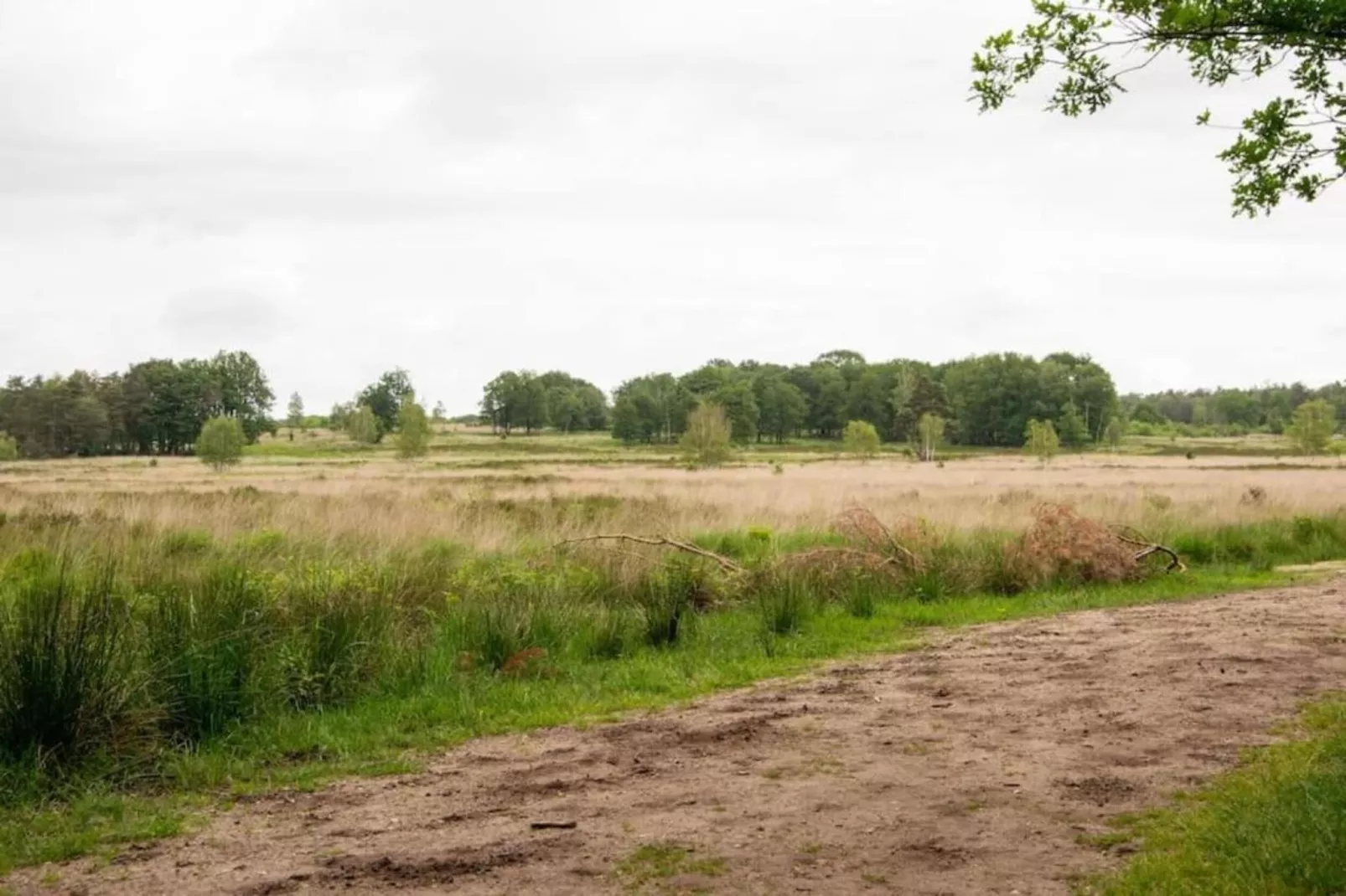 Bungalowpark Hoenderloo 3-Areas within 20km in summer