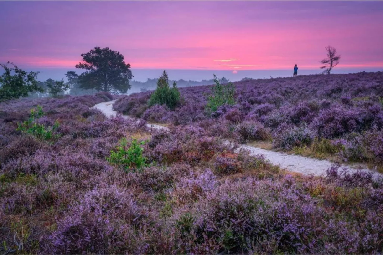 Buitenplaats Holten 8-Areas within 5km in summer
