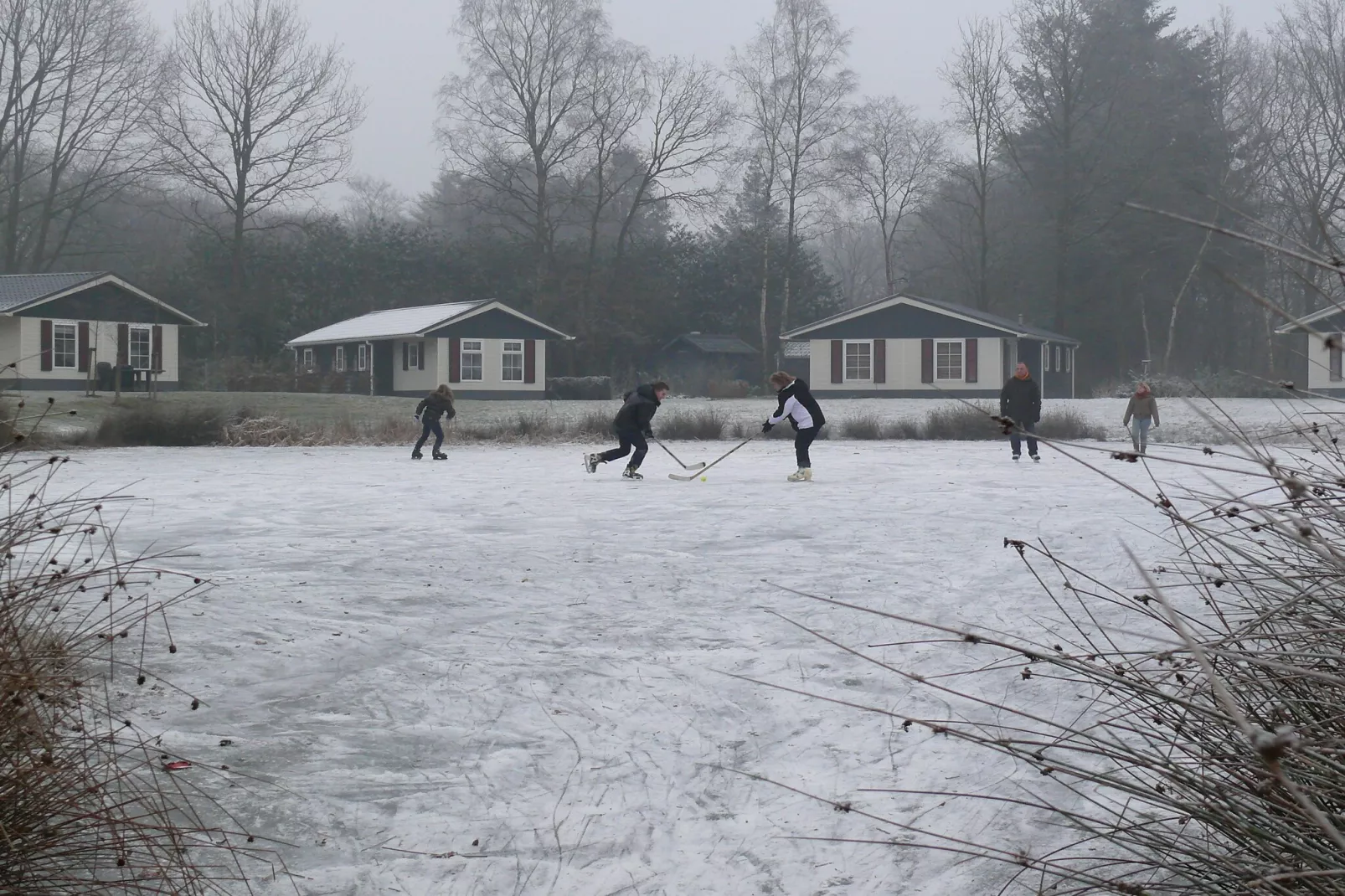 Buitenplaats Gerner 5-Area within 1km in winter