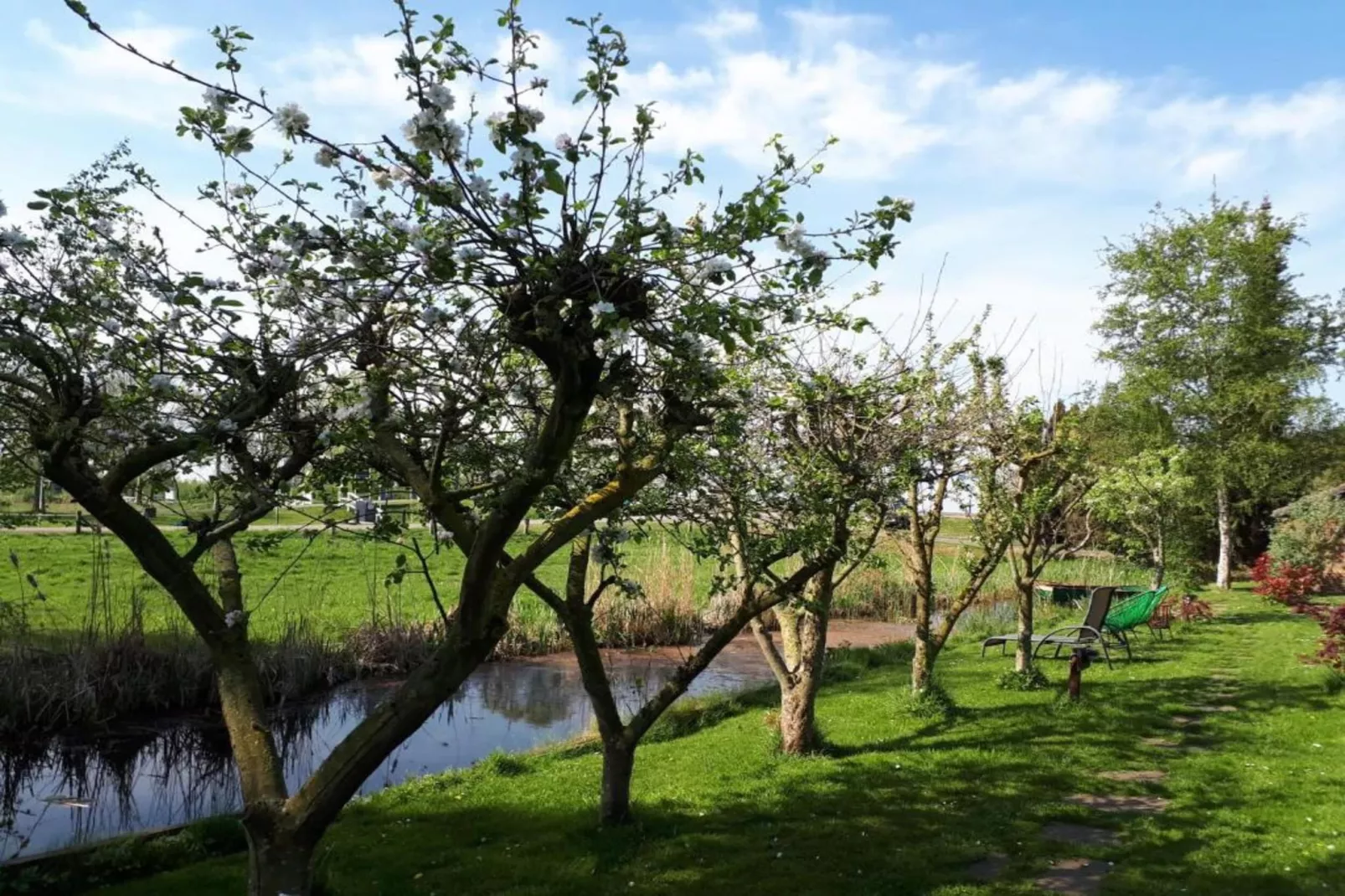Waterpark Belterwiede 3-Areas within 20km in summer