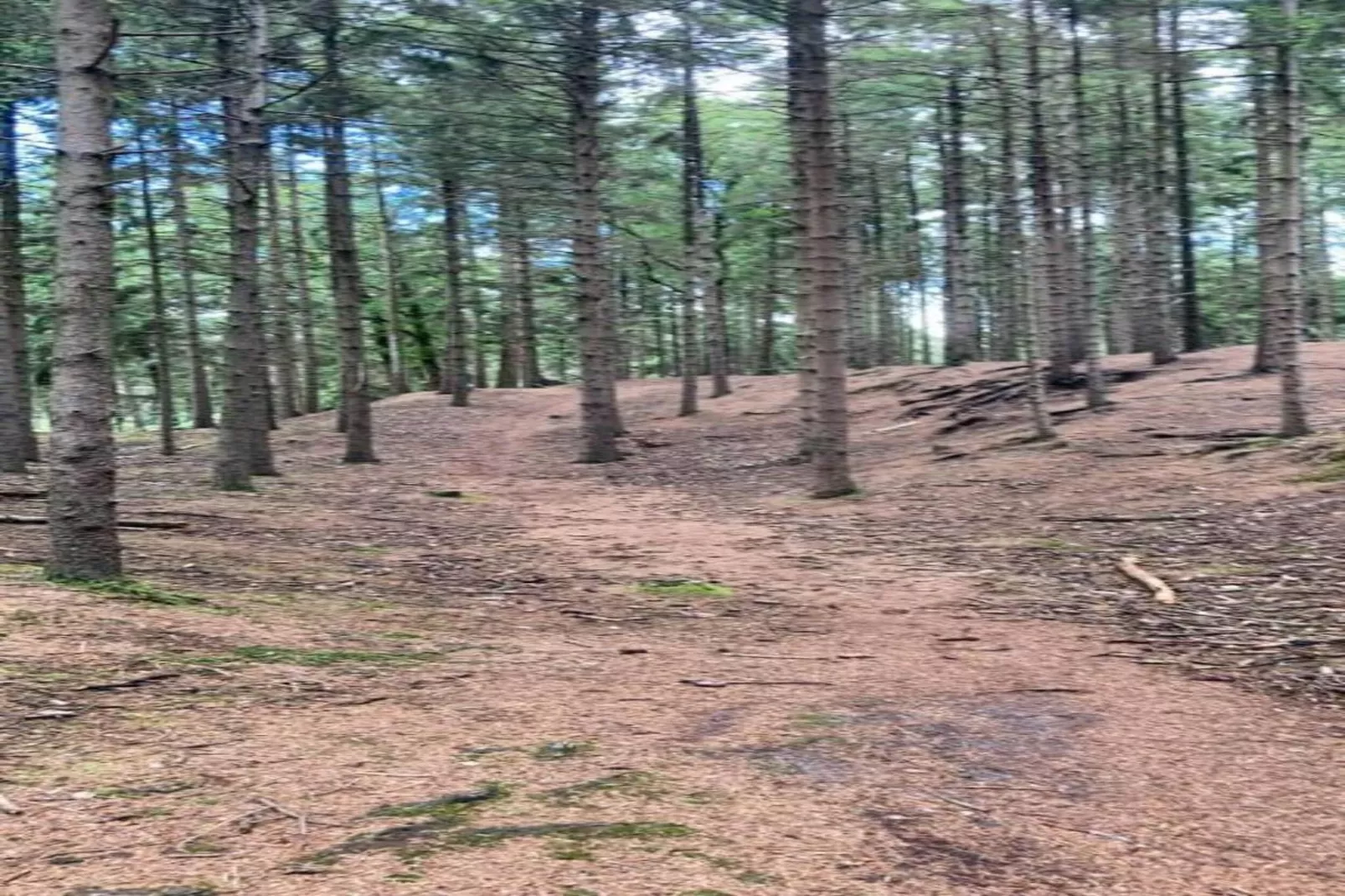 Vakantiepark de Vossenburcht 2-Areas within 20km in summer