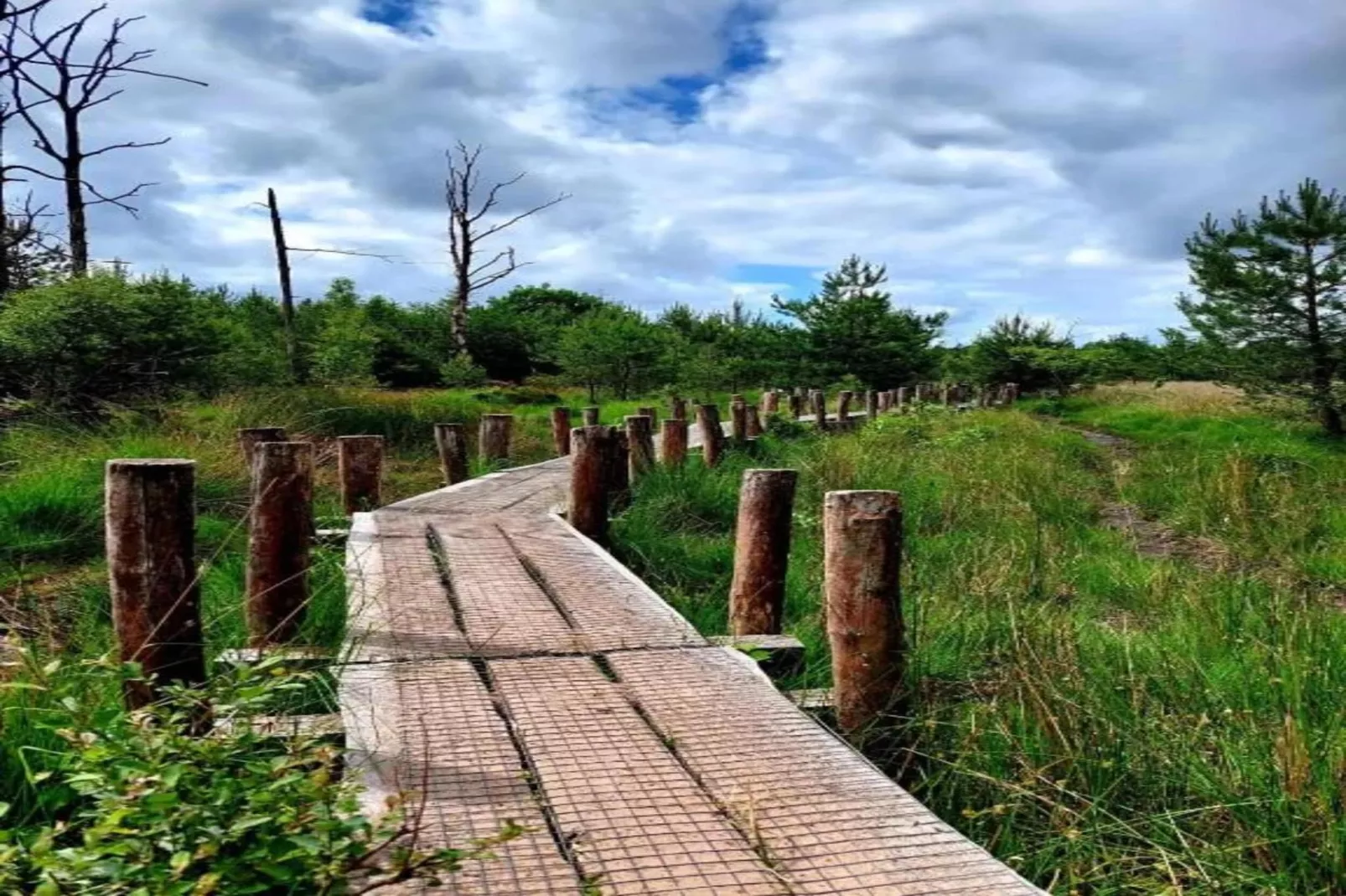 RCN Vakantiepark de Noordster 4-Gebiete Sommer 20 km