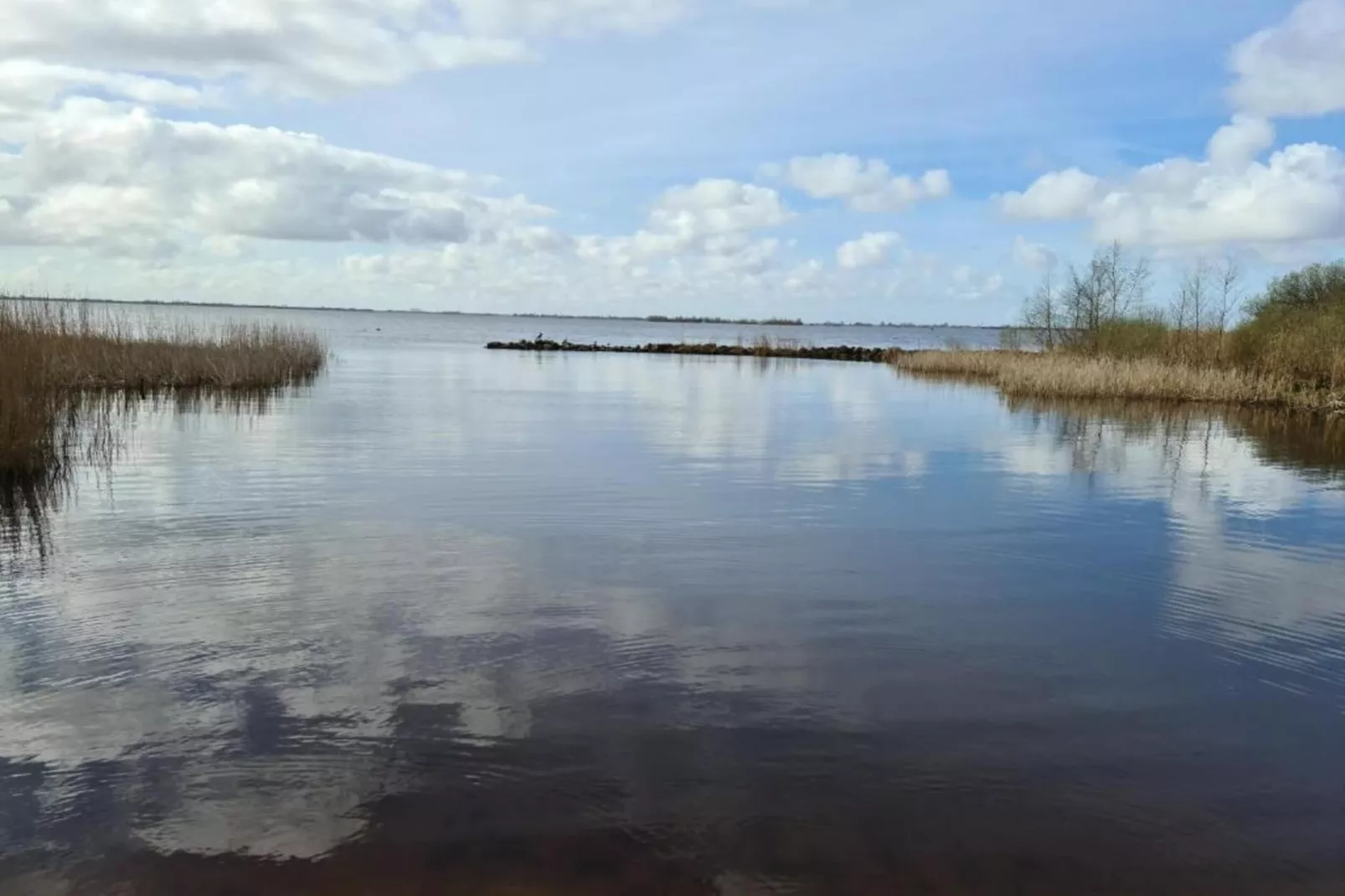 Friese Meren Villa's 7-Areas within 20km in summer