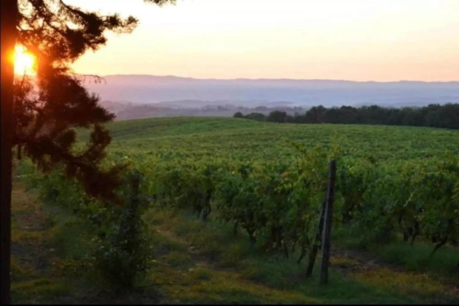 Lyts Sypenstien-Areas within 5km in summer
