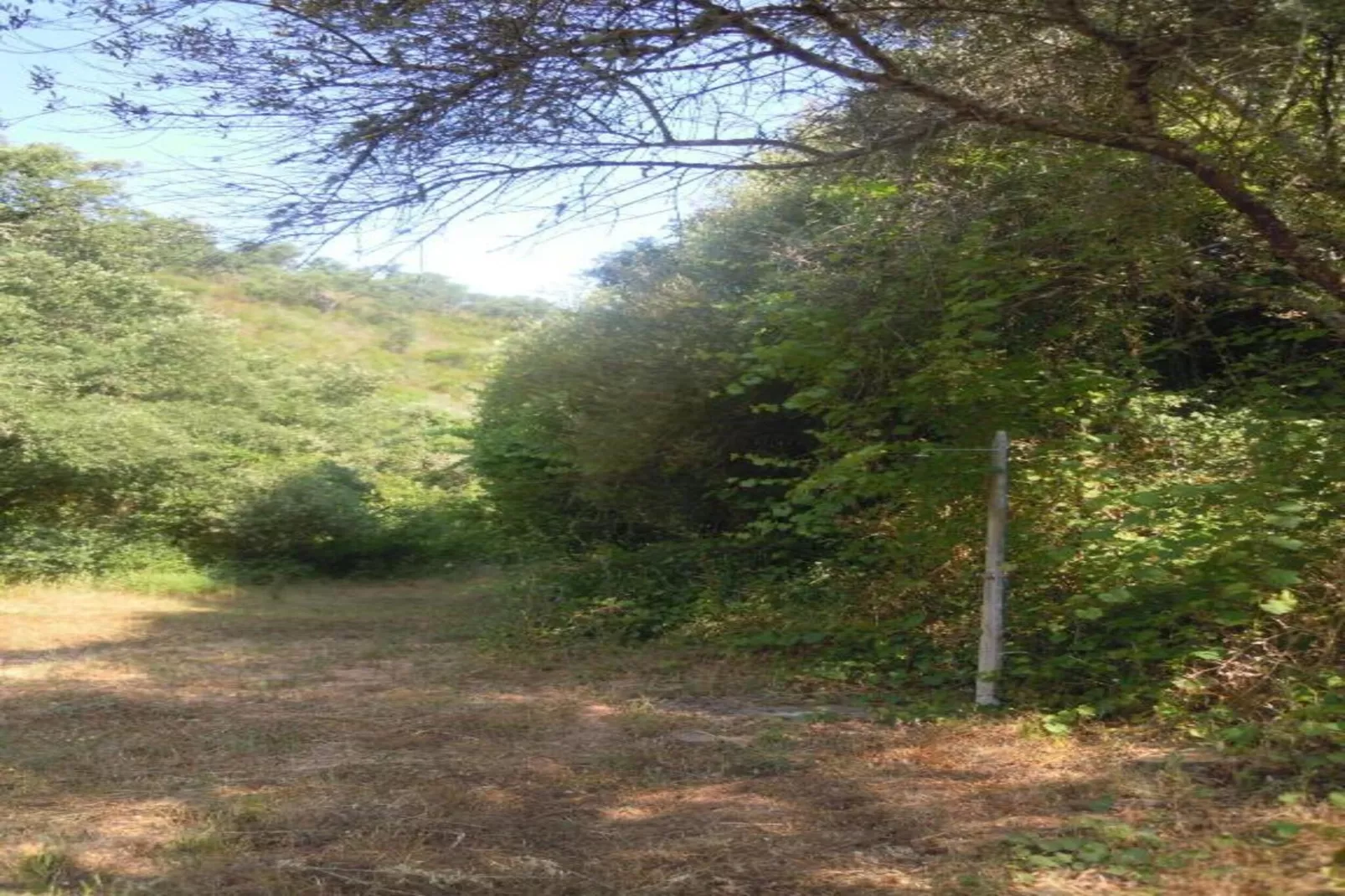 Casa da Adega-Zones été à 20 km