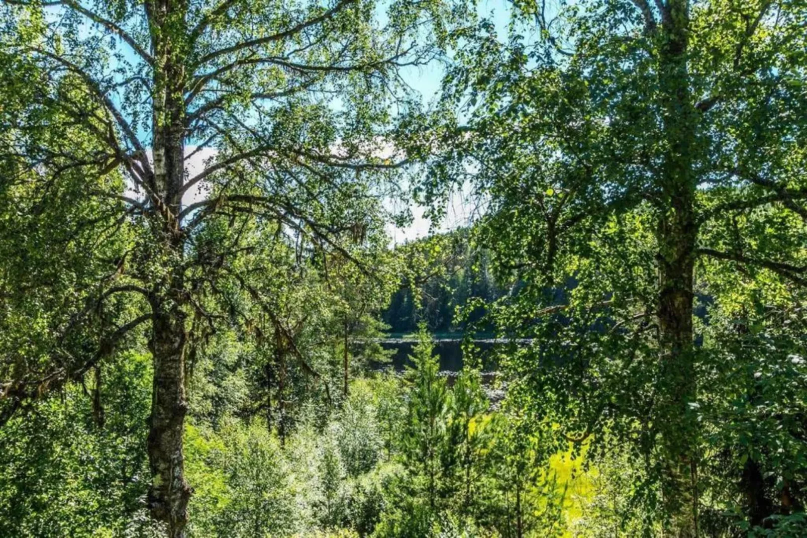 Värmlands Sjö och Fjäll Camping 14-Gebiete Sommer 20 km