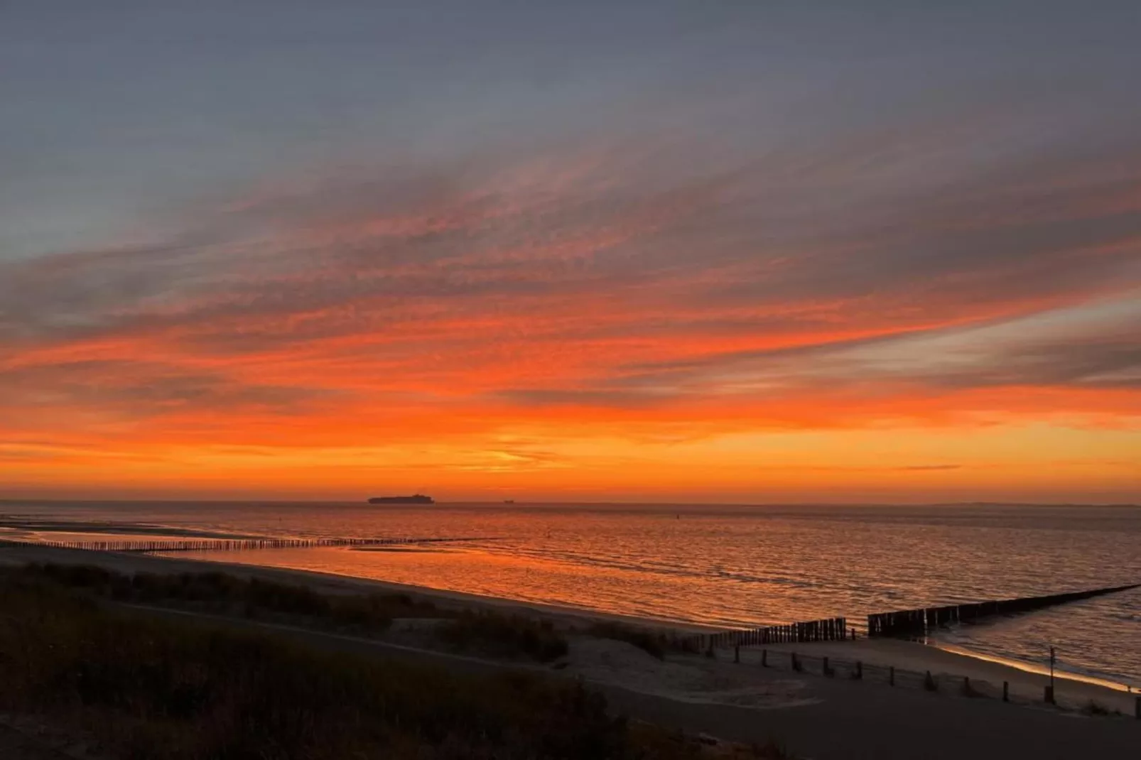 Vakantiepark Zeebad 14-Areas within 5km in summer