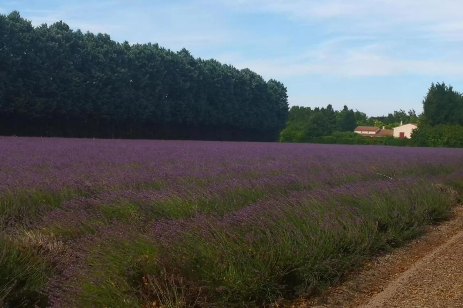 Laurence-Zones été à 20 km