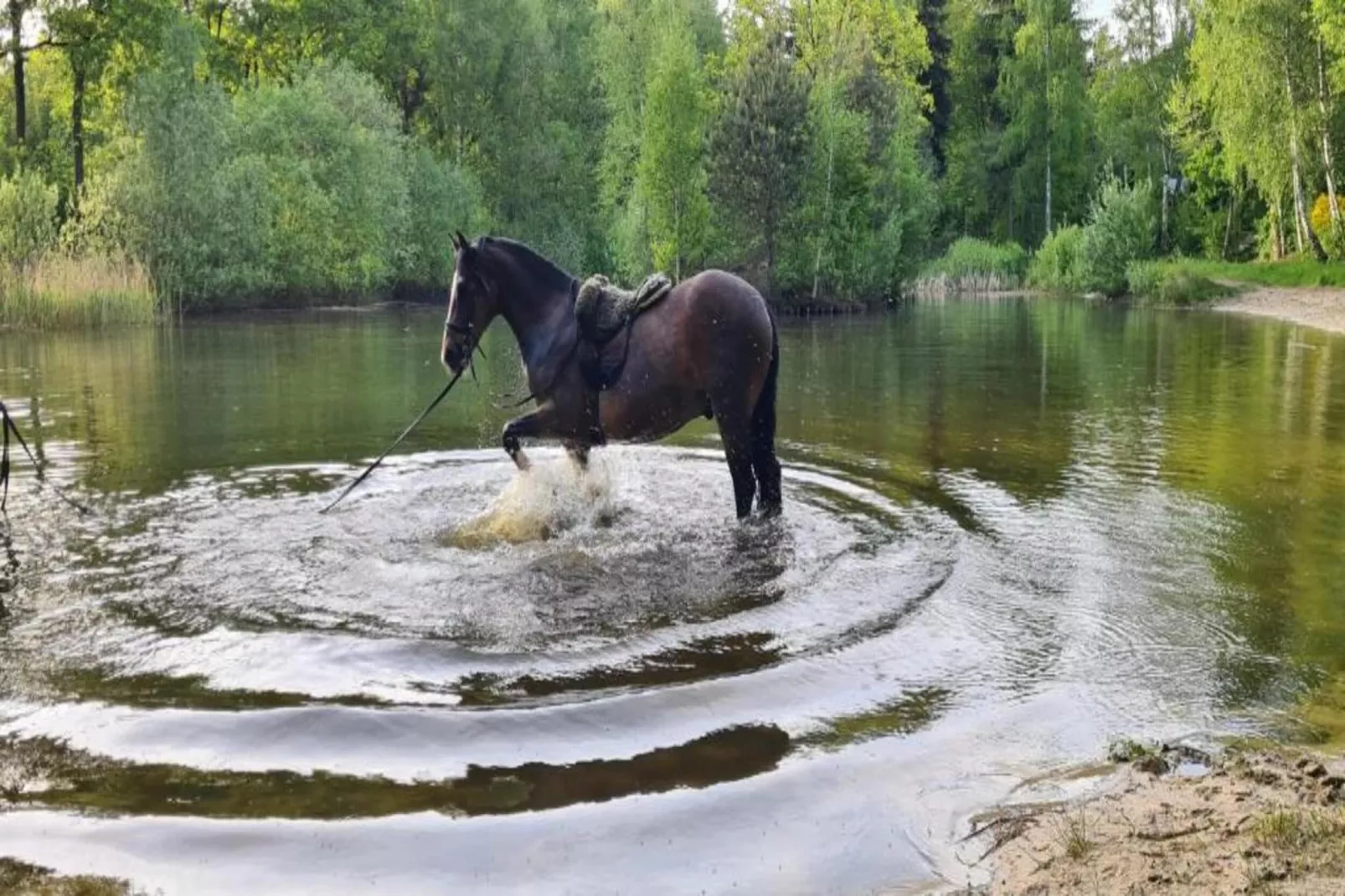 Buitenplaats Gerner 7-Areas within 20km in summer