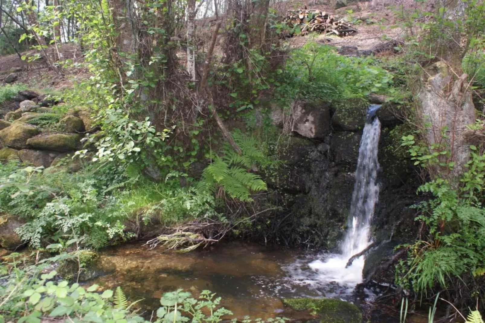 Casa Mimosa-Areas within 20km in summer