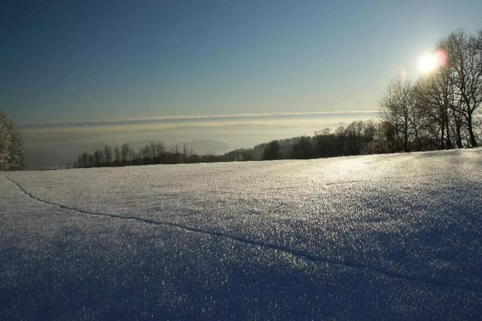 Holiday flats Haus am Wald Zenting-Wohnung für 4 Personen 56 qm-Area within 20km in winter