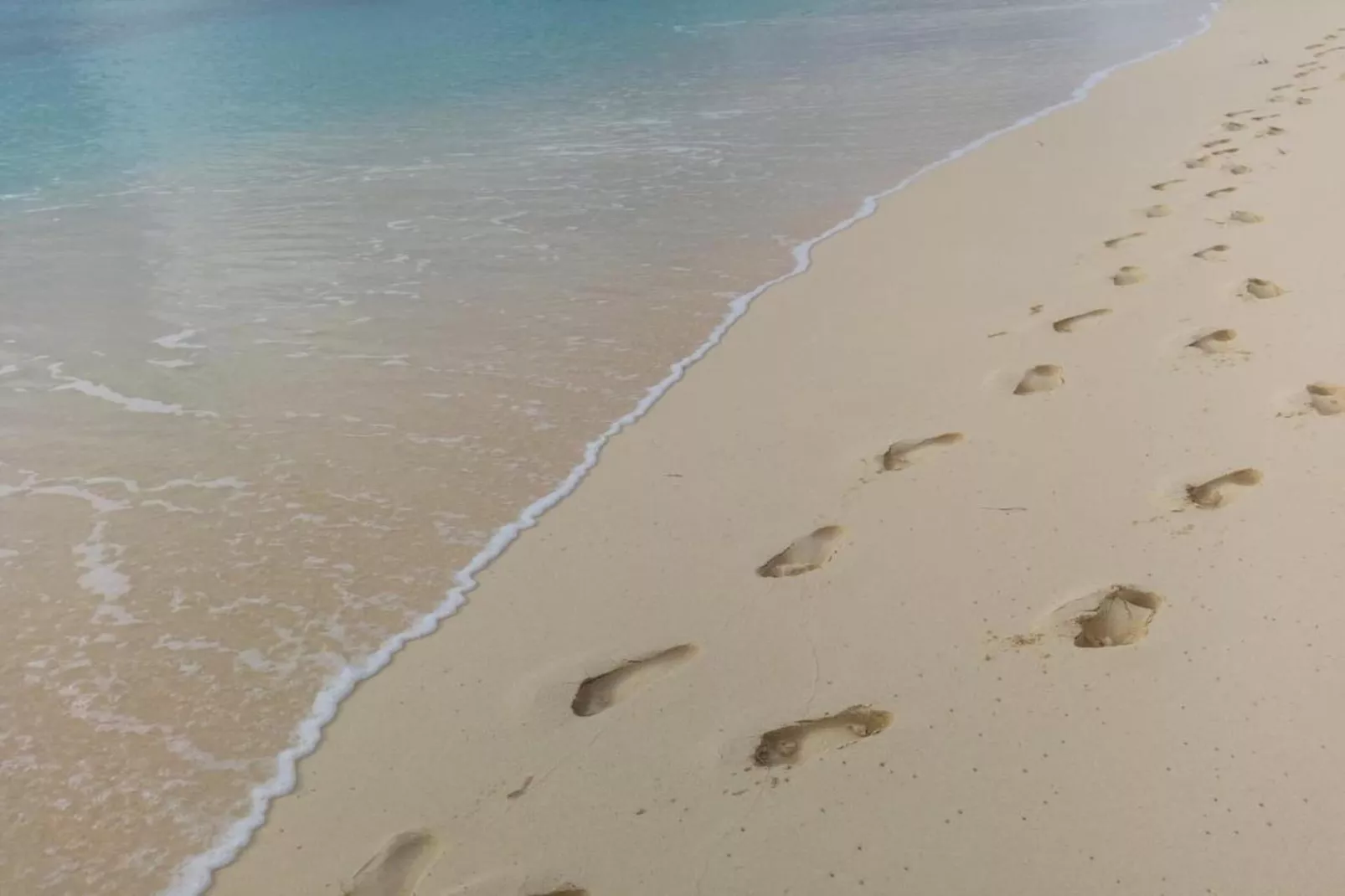 Vakantiehuis - Zoutelande 'Bon Bini'-Zones été à 1 km