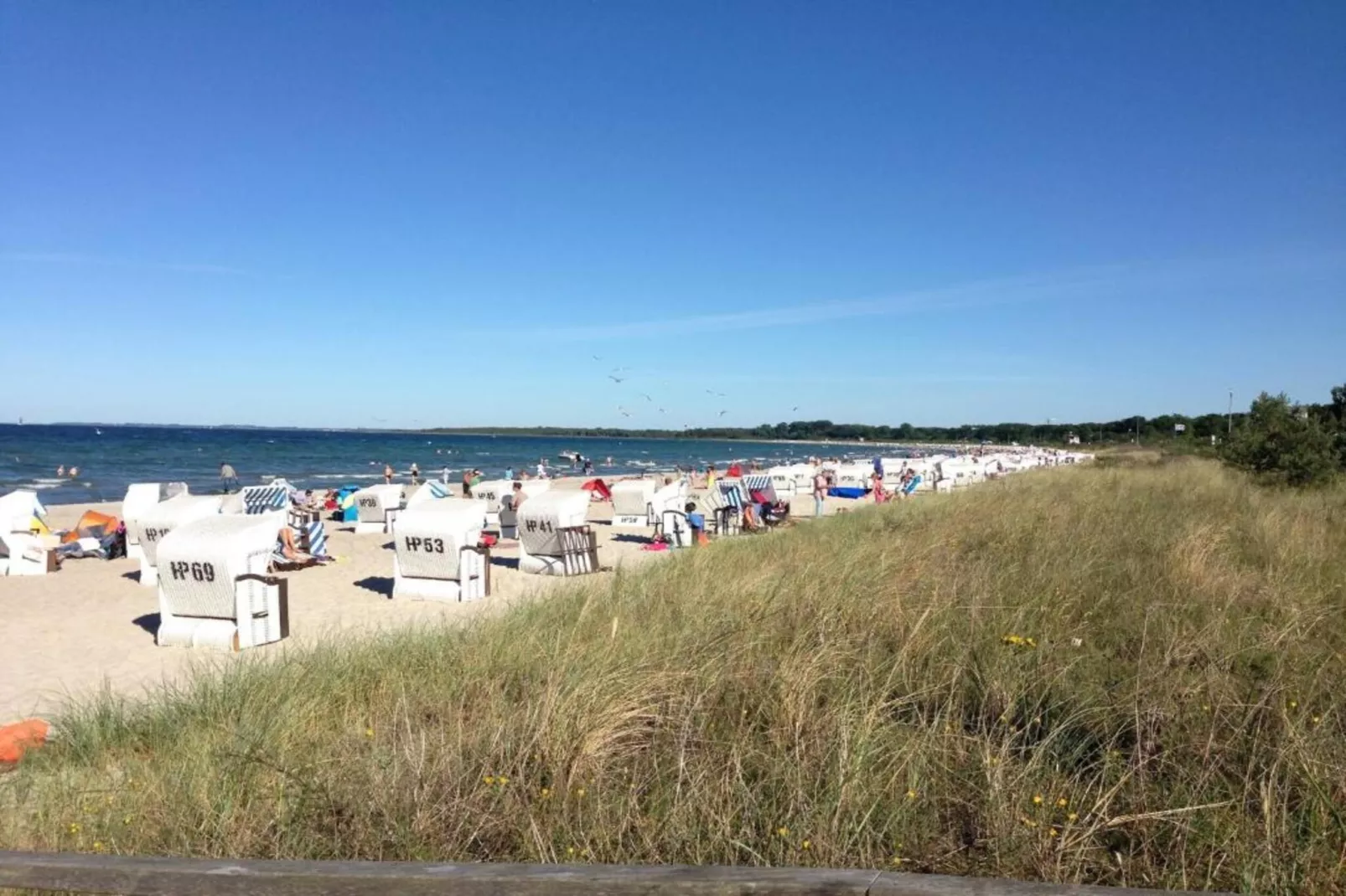 Ferien an der Ostsee-Gebiete Sommer 5 km