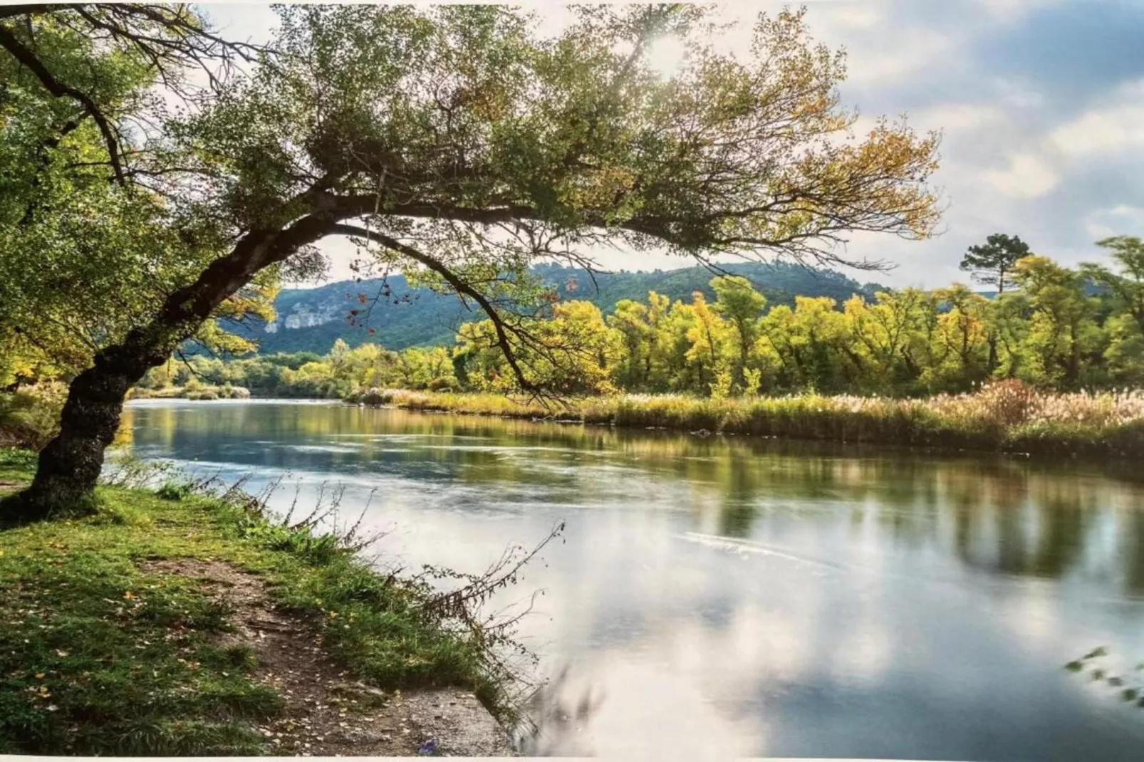 	 Résidence La Licorne de Haute-Provence 5-Gebiete Sommer 5 km